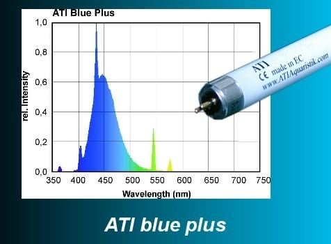 ATI - 54 W Blue Plus T5