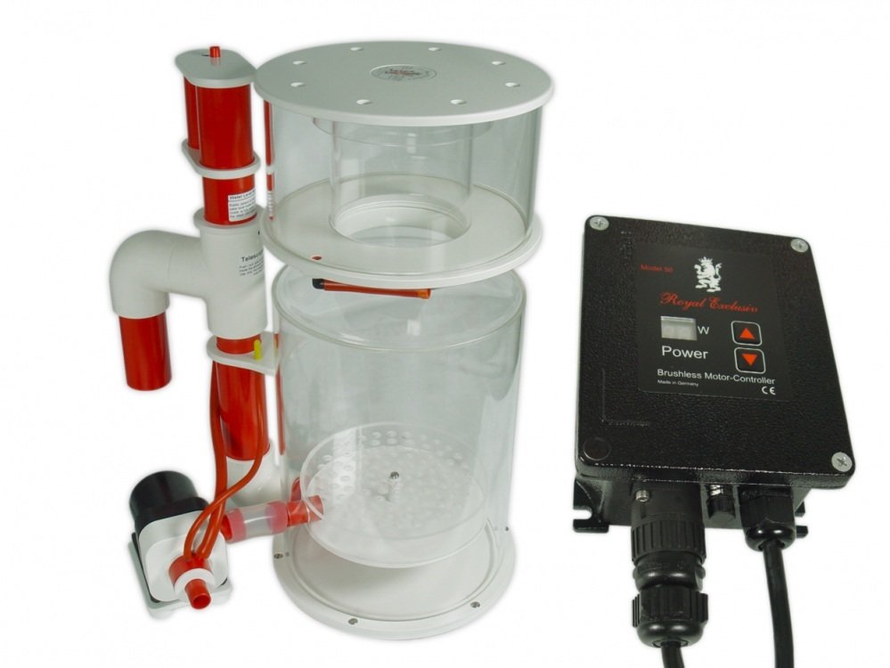 Royal Exclusiv - Bubble King - Deluxe 300 Internal RDX