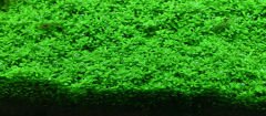 Aquario - Neo Plants Soil Brown Normal 3 l