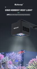 Keloray - G 160