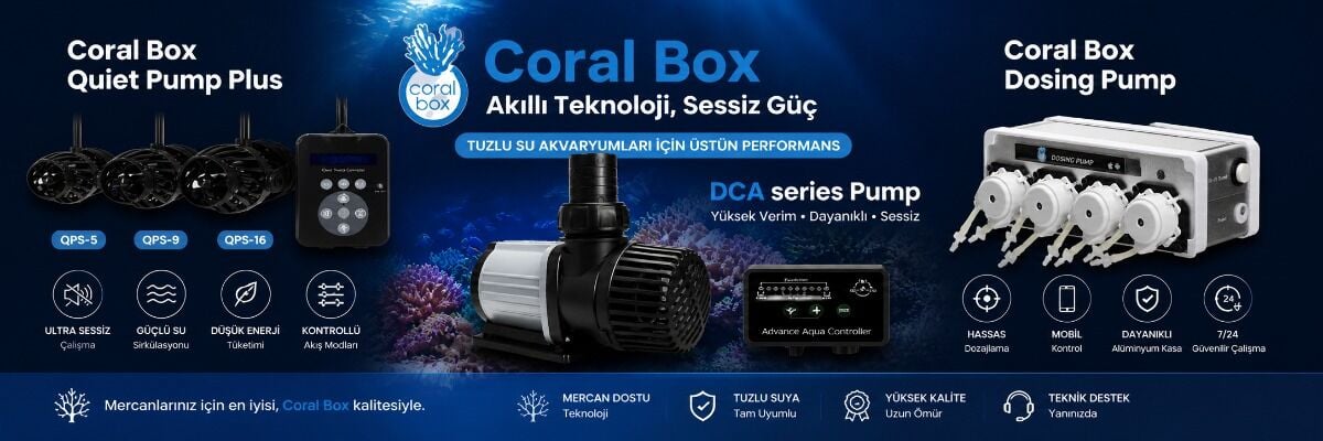 Coralbox