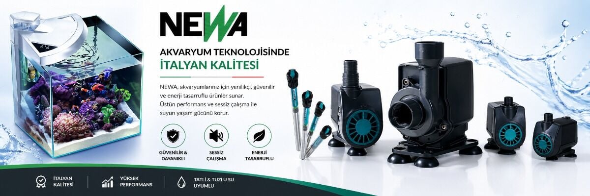 Newa